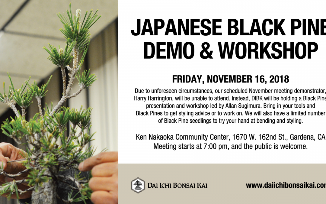 NOVEMBER 16th 2018 MEETING –  JAPANESE BLACK PINE DEMO & WORKSHOP